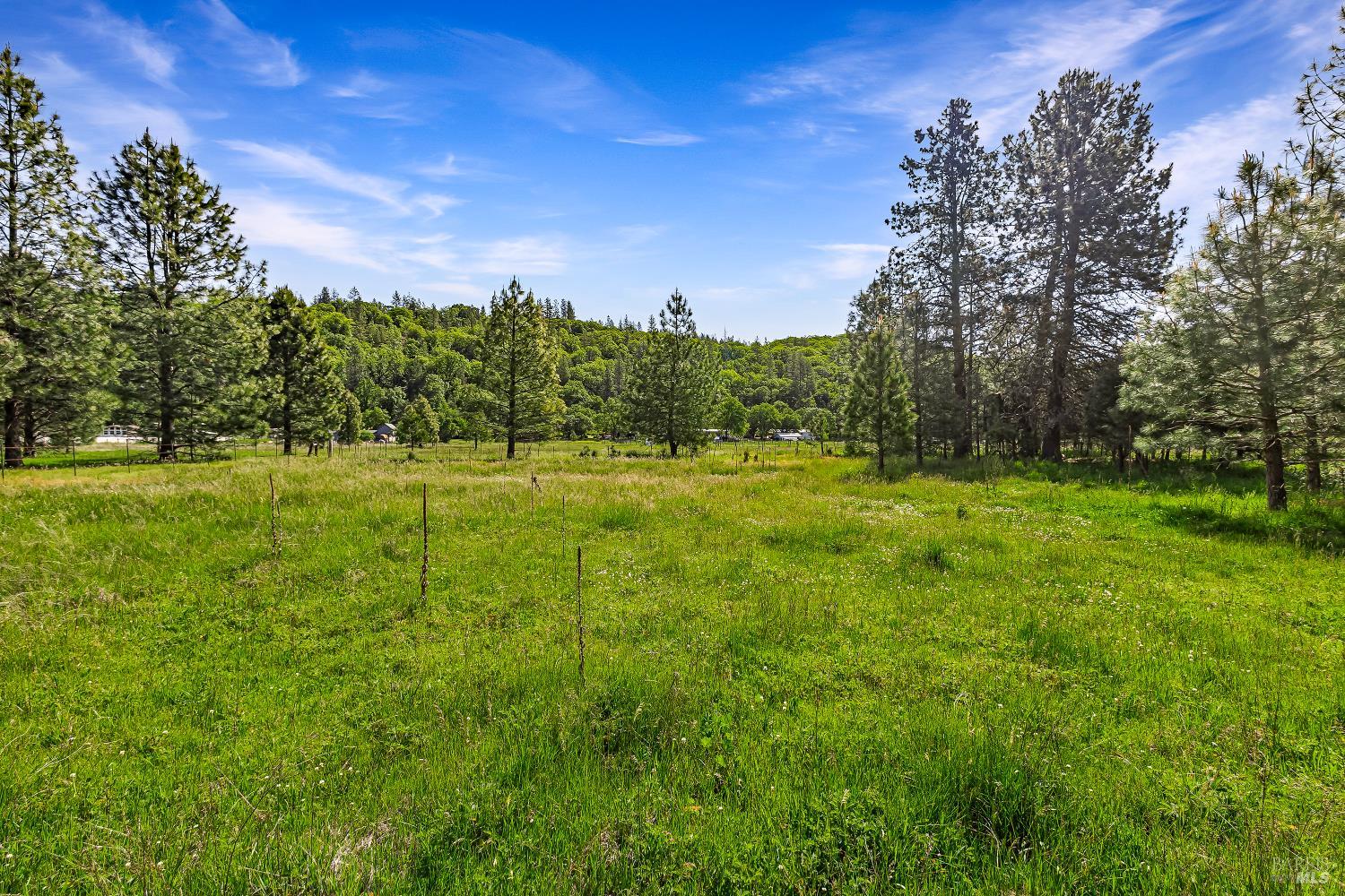 Detail Gallery Image 13 of 28 For 9505 Salmina Rd, Kelseyville,  CA 95451 - – Beds | – Baths