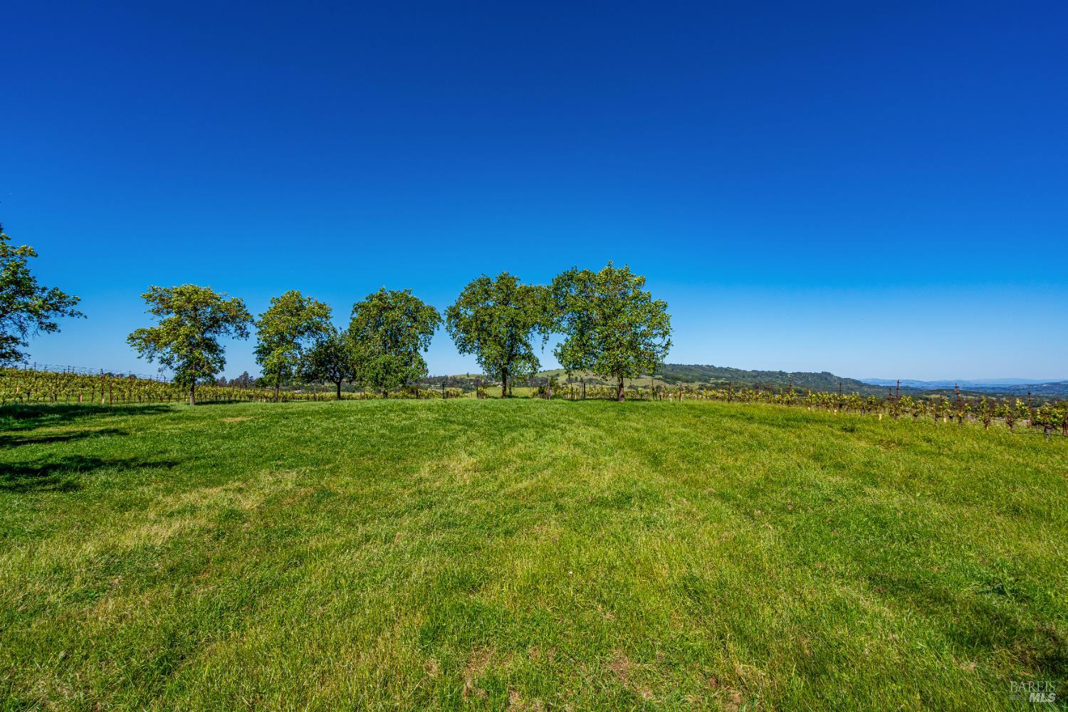 Detail Gallery Image 23 of 52 For 4560 Sonoma Mountain Rd, Santa Rosa,  CA 95404 - – Beds | – Baths
