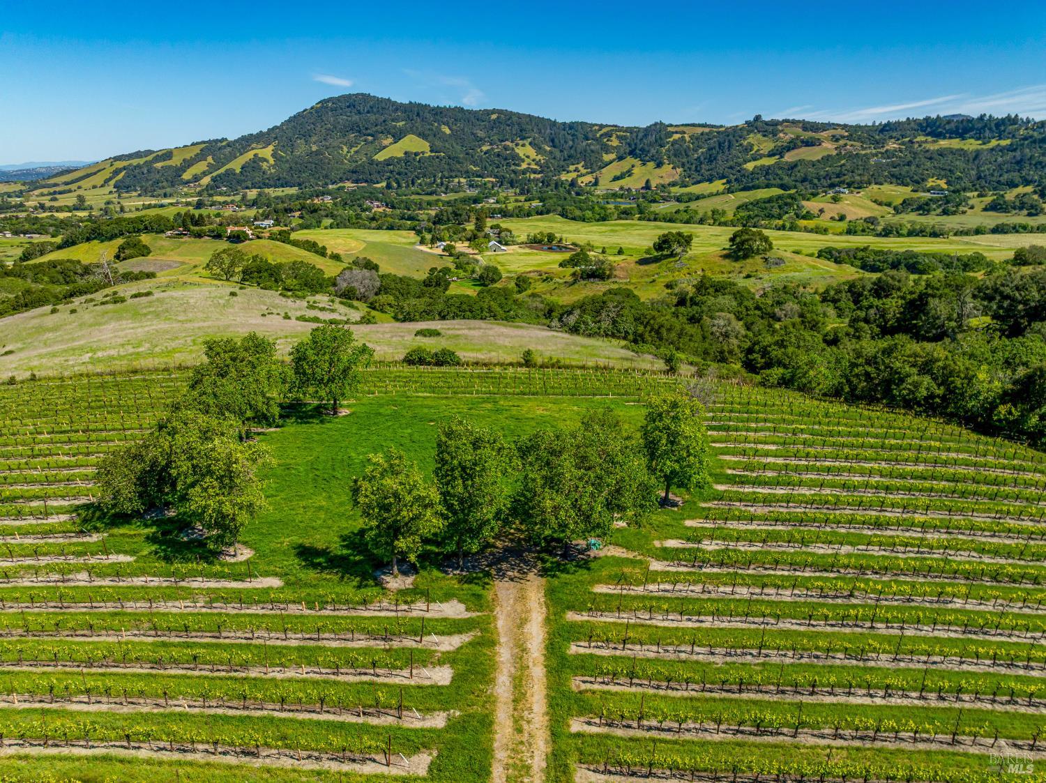 Perched on a promontory overlooking the Bennett Valley ridgelines, your spectacular building site awaits. 2 separate gated access points, along with the new well + approved perc. provide a fresh canvas to create your ultimate Estate visions. Spectacular offering of 42-acres with panoramas and vines, Morning Sun Vineyards is a collection of magnificent landscapes where planted grapes feature both postcard-perfect beauty and horticulture opportunities. Positioned in the desirable Bennett Valley AVA, 36 acres of meticulously maintained + premium vineyards await. The property's 2 separate parcels and accommodations - including an irrigation system help support your ground's varietals of Chardonnay, Barbara, Pinot Grigio, Pinot Noir + Zinfandel grapes. Kickstart vigneron dreams or simply enjoy the privacy of your idyllic wine country escape. Located within minutes of picturesque Glen Ellen and Sonoma Ridge Park, with world-class hiking and riding trails.
