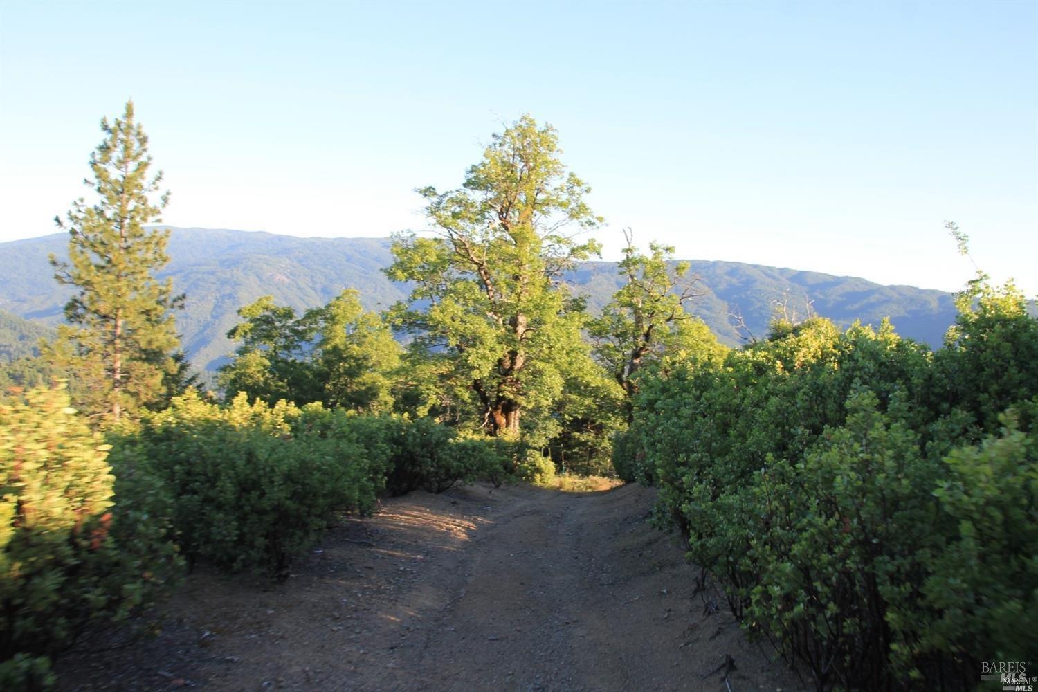 Detail Gallery Image 12 of 20 For 0 Mendocino Pass Rd, Covelo,  CA 95428 - – Beds | – Baths