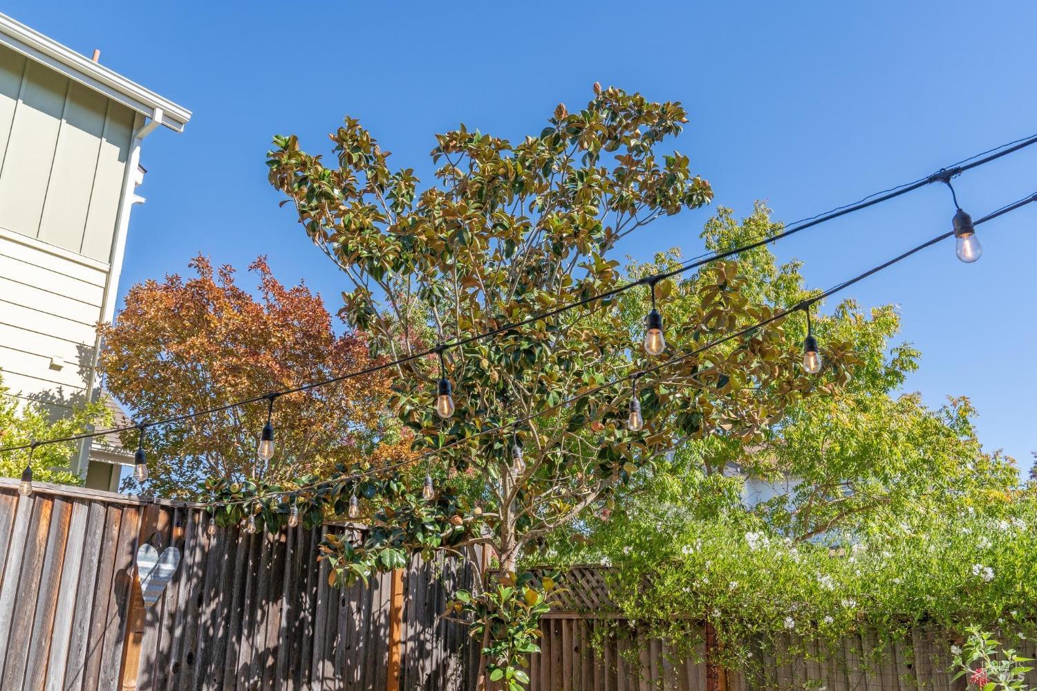 Detail Gallery Image 39 of 51 For 1755 Chinar Dr, Petaluma,  CA 94954 - 4 Beds | 2/1 Baths