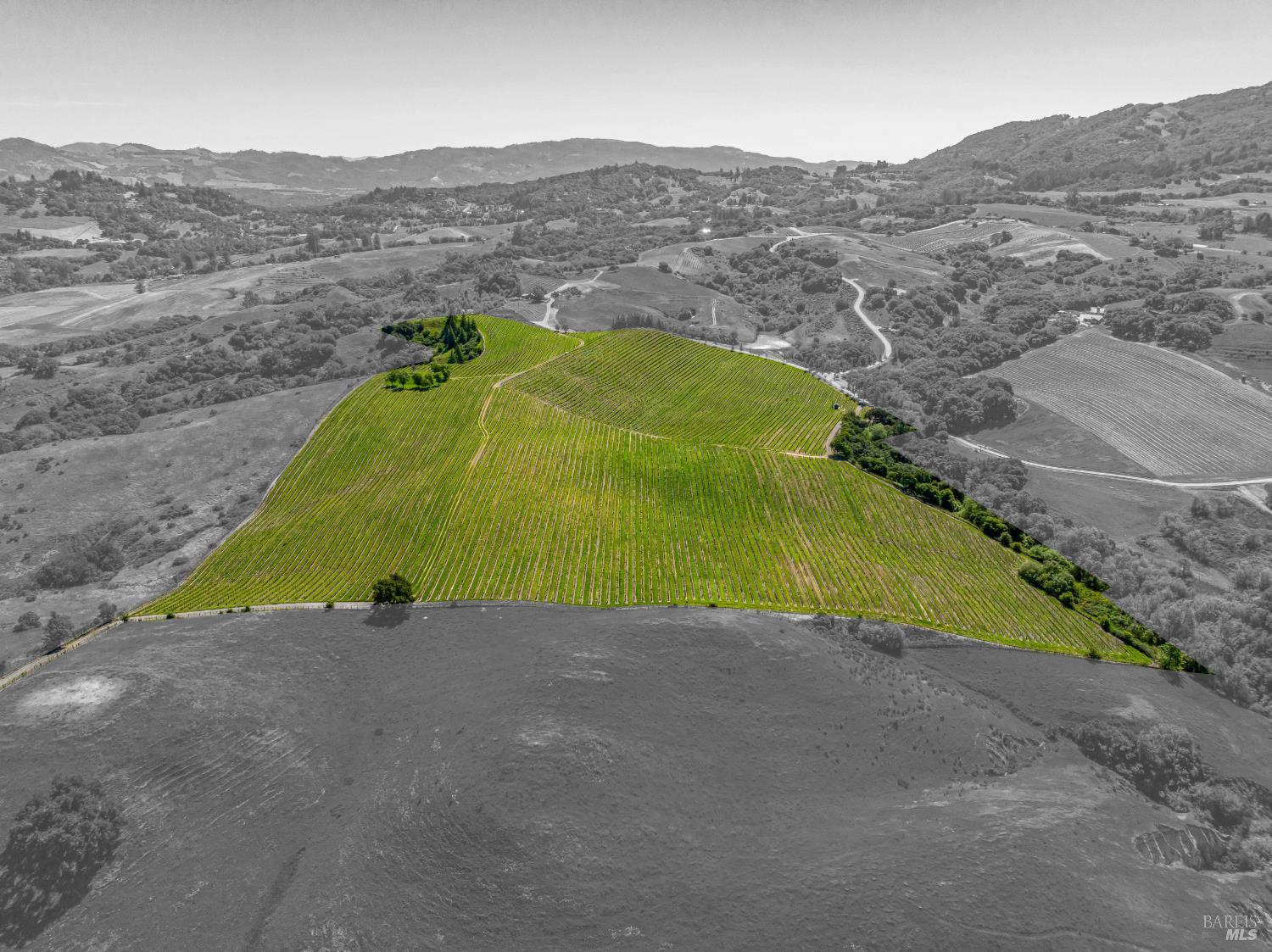Detail Gallery Image 42 of 52 For 4560 Sonoma Mountain Rd, Santa Rosa,  CA 95404 - – Beds | – Baths