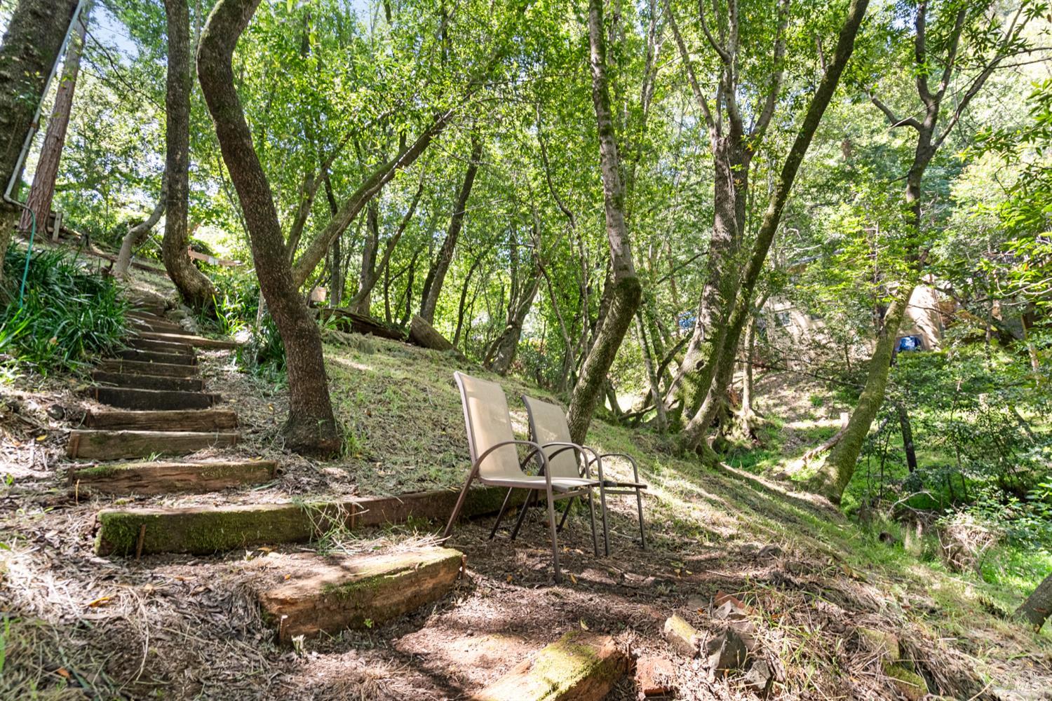 Detail Gallery Image 58 of 67 For 150 Bungalow Ave, San Rafael,  CA 94901 - 4 Beds | 2 Baths