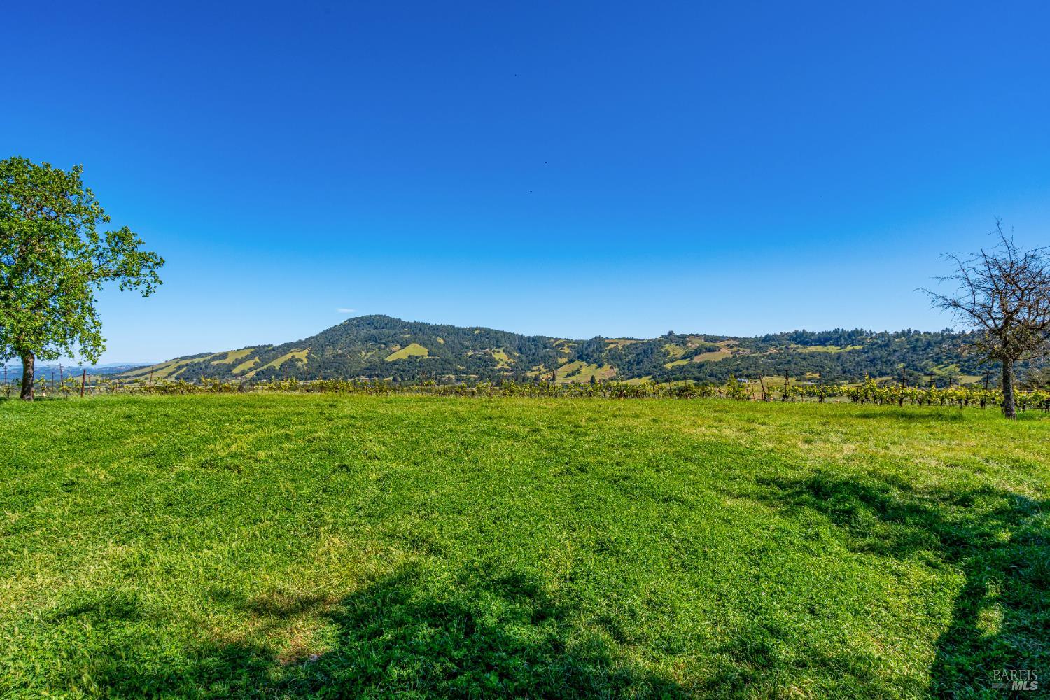 Detail Gallery Image 15 of 52 For 4560 Sonoma Mountain Rd, Santa Rosa,  CA 95404 - – Beds | – Baths