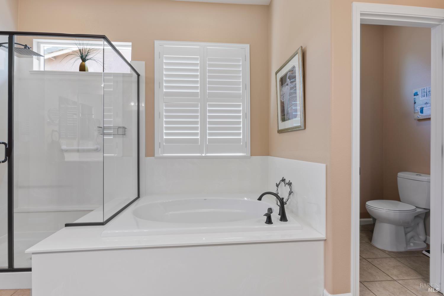 Detail Gallery Image 26 of 43 For 308 American Falls Dr, Rio Vista,  CA 94571 - 2 Beds | 2/1 Baths