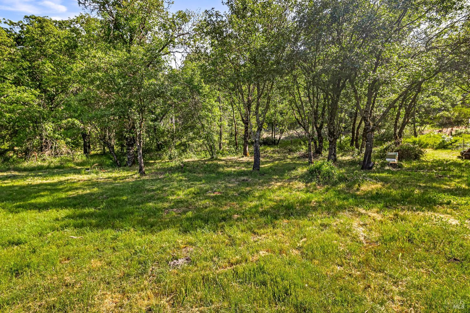 Detail Gallery Image 10 of 28 For 9505 Salmina Rd, Kelseyville,  CA 95451 - – Beds | – Baths