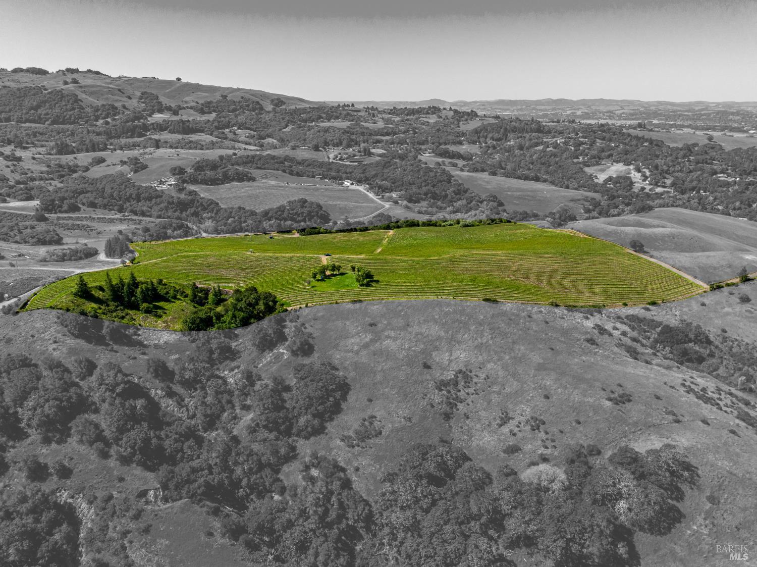 Detail Gallery Image 26 of 52 For 4560 Sonoma Mountain Rd, Santa Rosa,  CA 95404 - – Beds | – Baths
