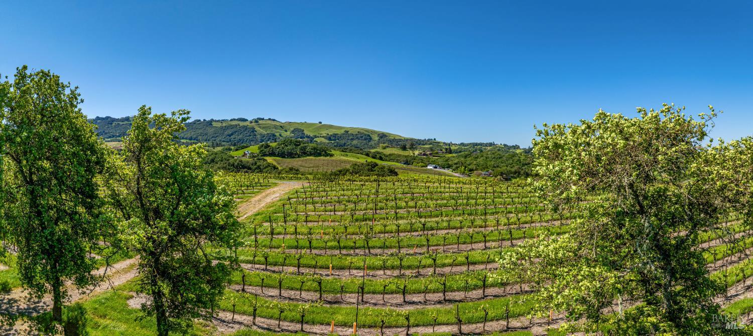 Detail Gallery Image 39 of 52 For 4560 Sonoma Mountain Rd, Santa Rosa,  CA 95404 - – Beds | – Baths