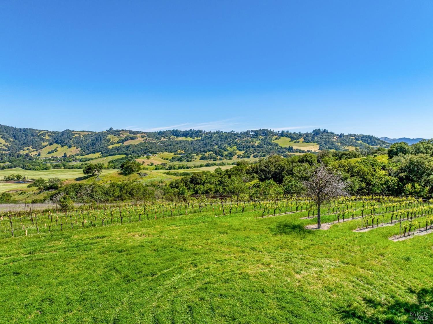 Detail Gallery Image 22 of 52 For 4560 Sonoma Mountain Rd, Santa Rosa,  CA 95404 - – Beds | – Baths