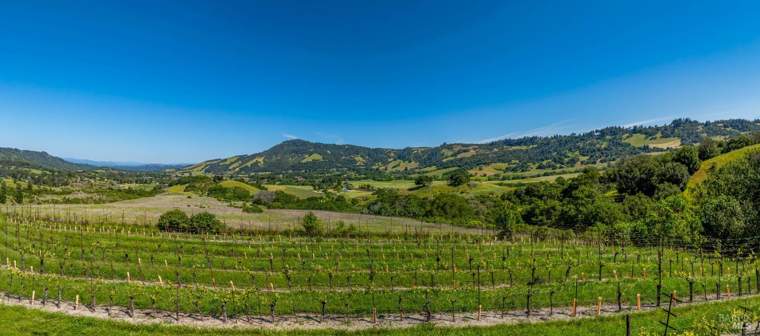 Detail Gallery Image 14 of 52 For 4560 Sonoma Mountain Rd, Santa Rosa,  CA 95404 - – Beds | – Baths