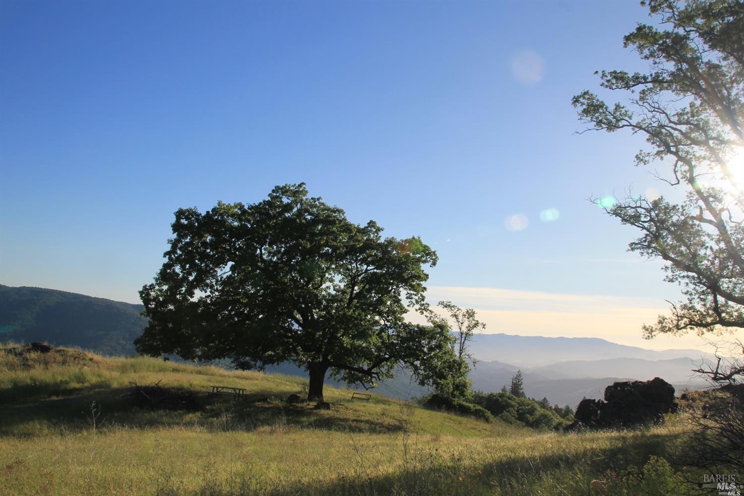 Detail Gallery Image 1 of 20 For 0 Mendocino Pass Rd, Covelo,  CA 95428 - – Beds | – Baths