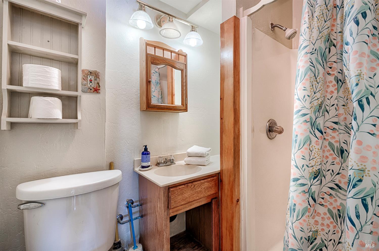 Detail Gallery Image 42 of 70 For 20215 Willow Rd, Monte Rio,  CA 95462 - 2 Beds | 2 Baths