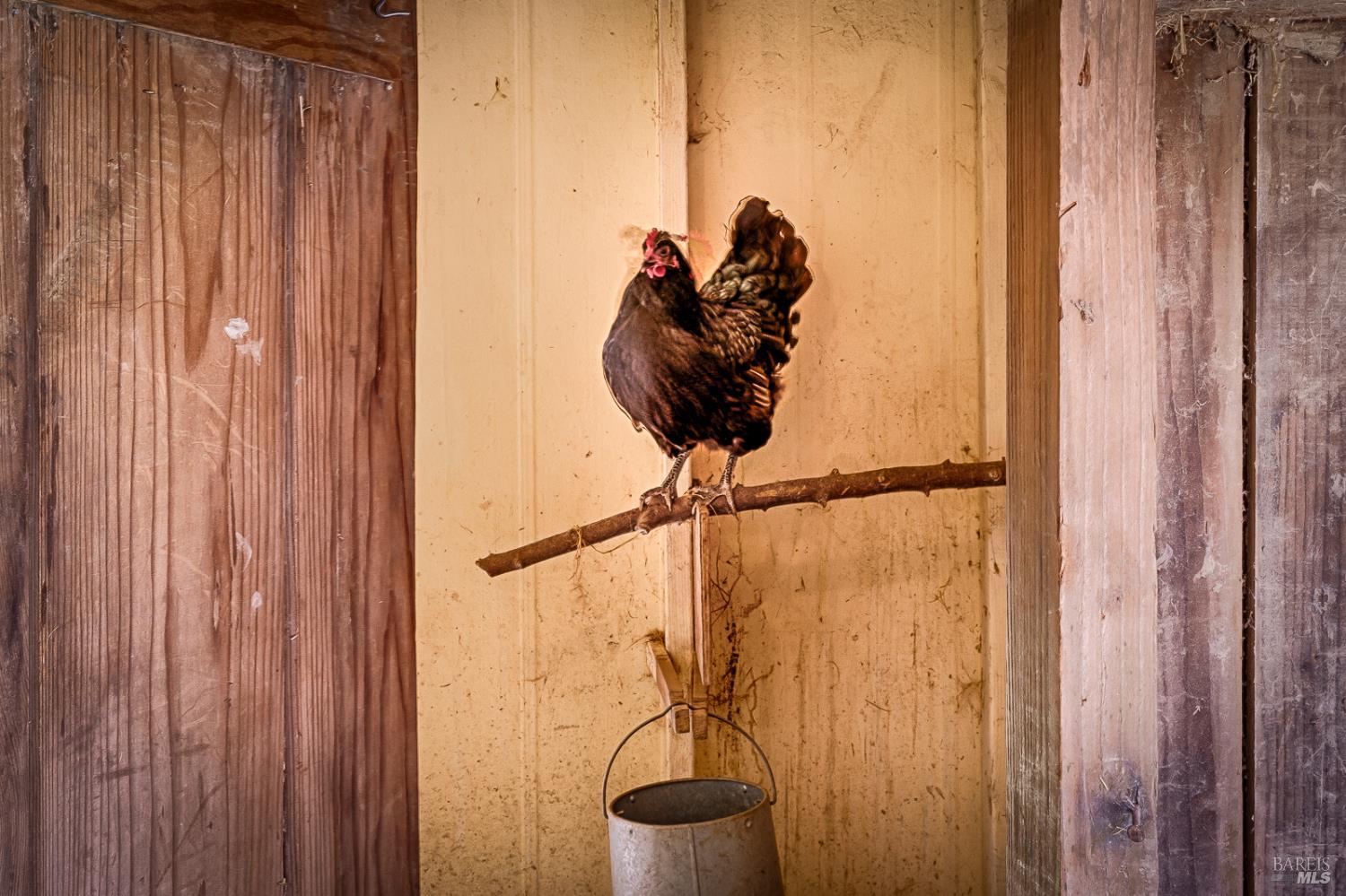 Detail Gallery Image 64 of 70 For 20215 Willow Rd, Monte Rio,  CA 95462 - 2 Beds | 2 Baths