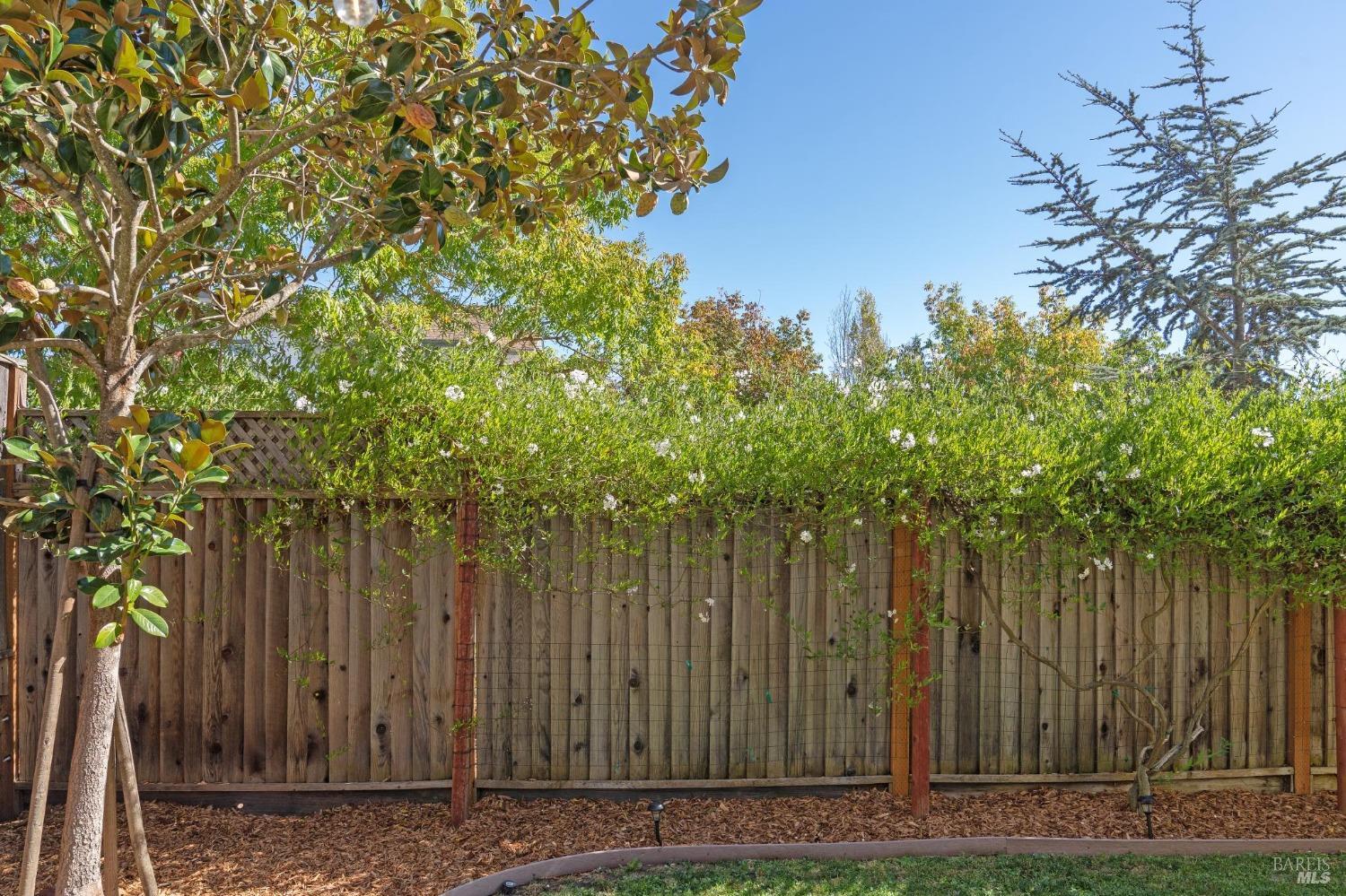 Detail Gallery Image 42 of 51 For 1755 Chinar Dr, Petaluma,  CA 94954 - 4 Beds | 2/1 Baths