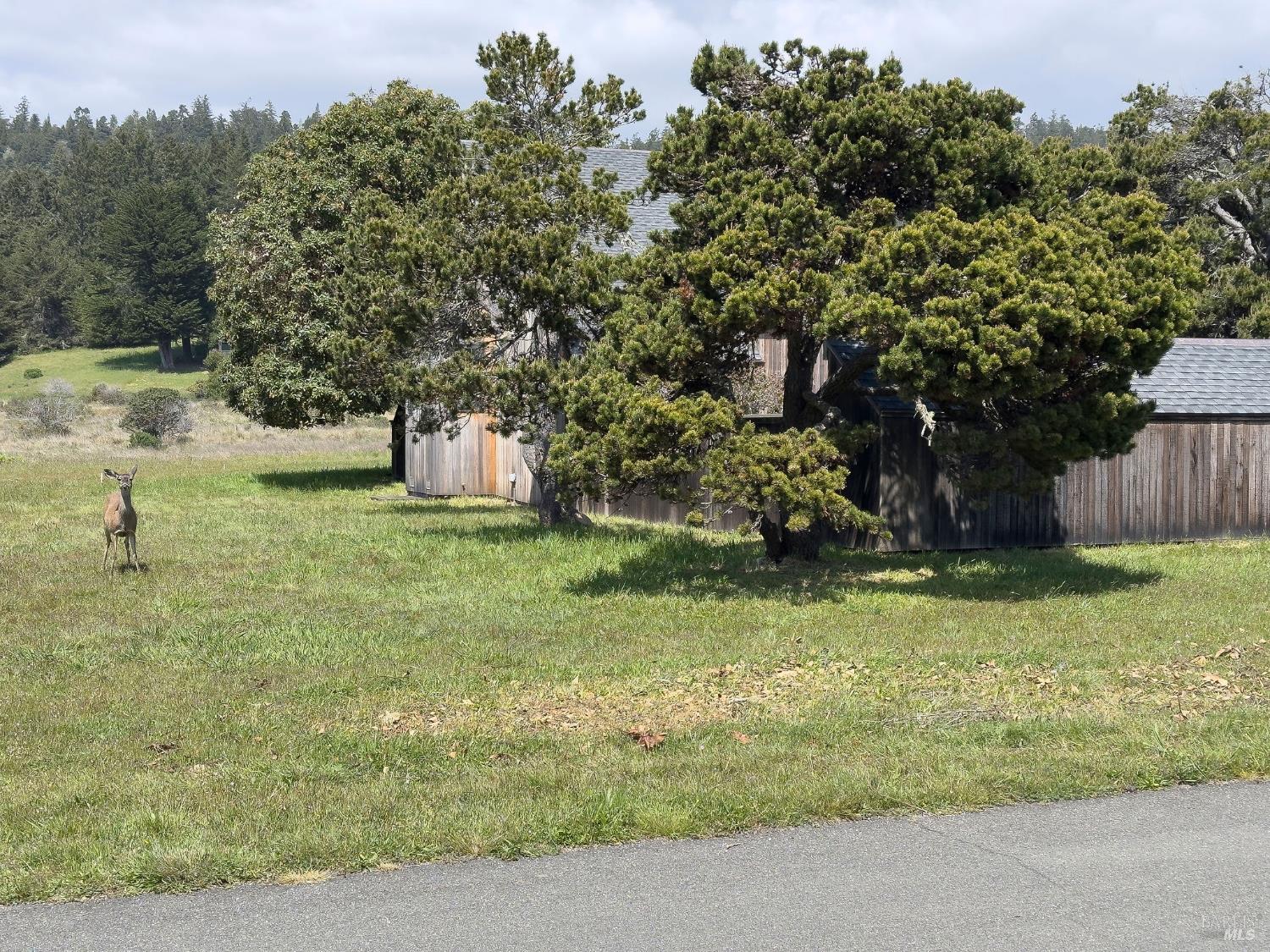 Detail Gallery Image 40 of 46 For 39462 Leeward Rd, The Sea Ranch,  CA 95497 - 2 Beds | 2 Baths