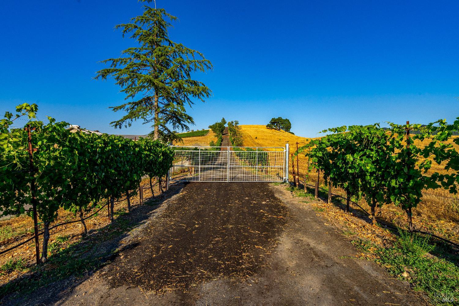 Detail Gallery Image 31 of 52 For 4560 Sonoma Mountain Rd, Santa Rosa,  CA 95404 - – Beds | – Baths