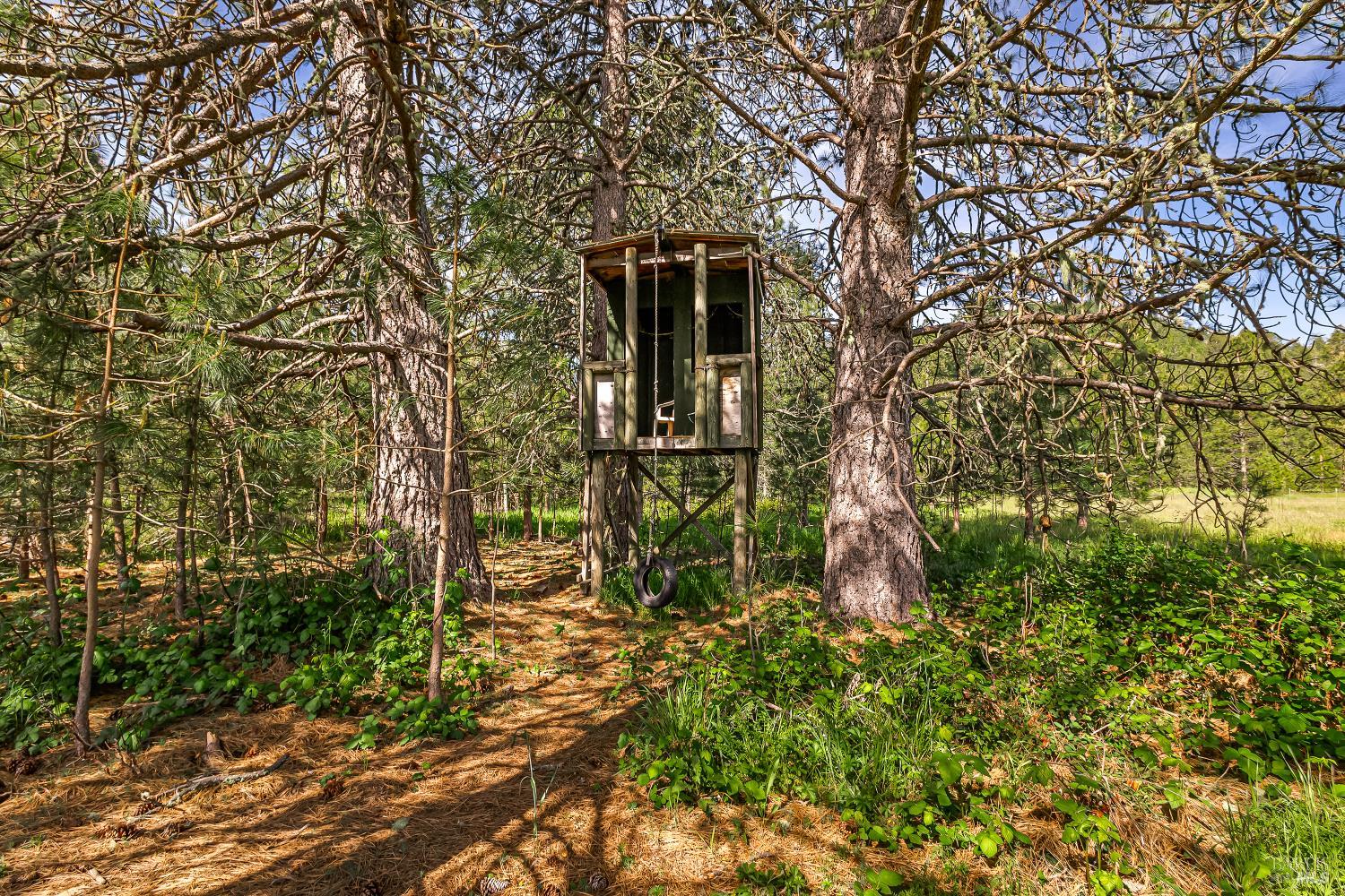 Detail Gallery Image 6 of 28 For 9505 Salmina Rd, Kelseyville,  CA 95451 - – Beds | – Baths