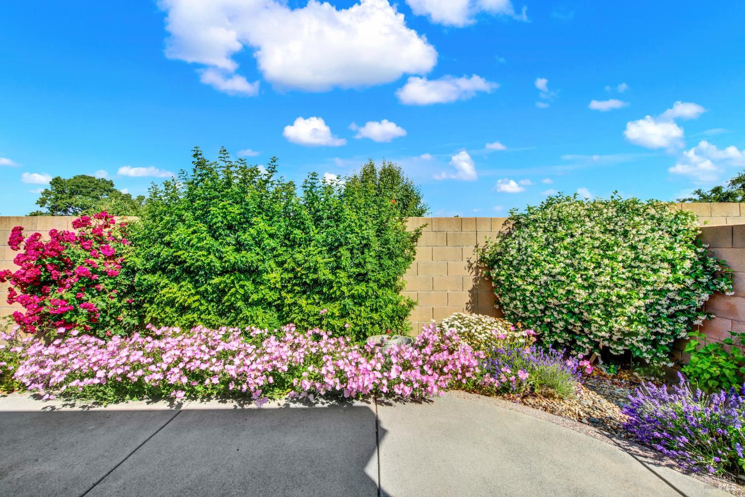 Detail Gallery Image 54 of 62 For 374 Bartlett Ln, Vacaville,  CA 95687 - 3 Beds | 2 Baths