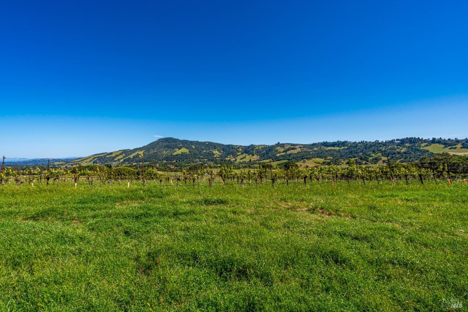 Detail Gallery Image 45 of 52 For 4560 Sonoma Mountain Rd, Santa Rosa,  CA 95404 - – Beds | – Baths