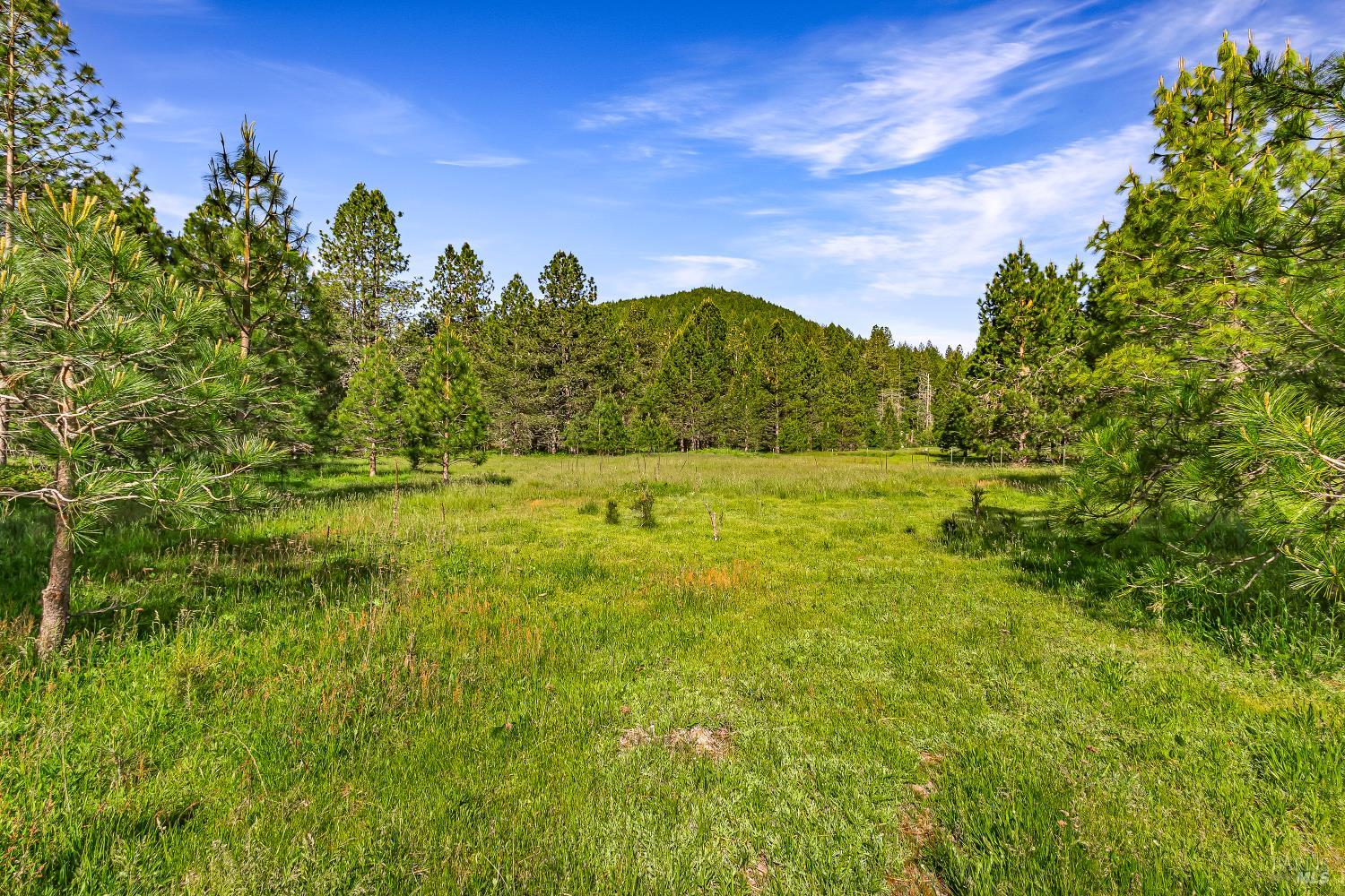 Detail Gallery Image 12 of 28 For 9505 Salmina Rd, Kelseyville,  CA 95451 - – Beds | – Baths