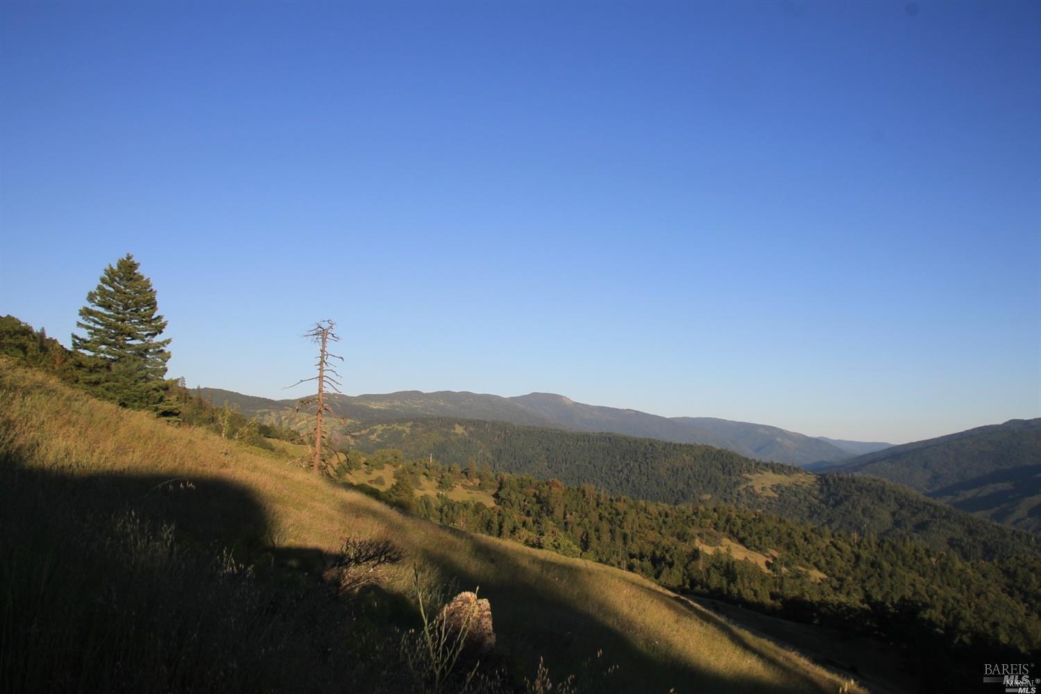 Detail Gallery Image 16 of 20 For 0 Mendocino Pass Rd, Covelo,  CA 95428 - – Beds | – Baths