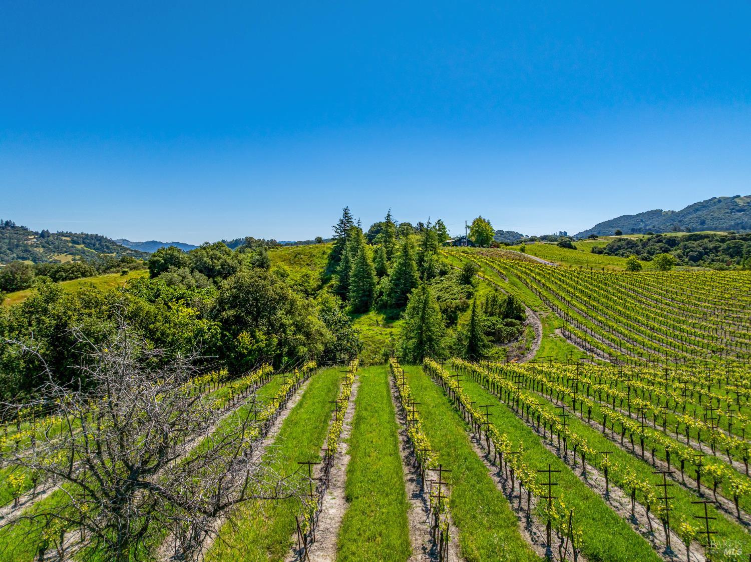 Detail Gallery Image 24 of 52 For 4560 Sonoma Mountain Rd, Santa Rosa,  CA 95404 - – Beds | – Baths