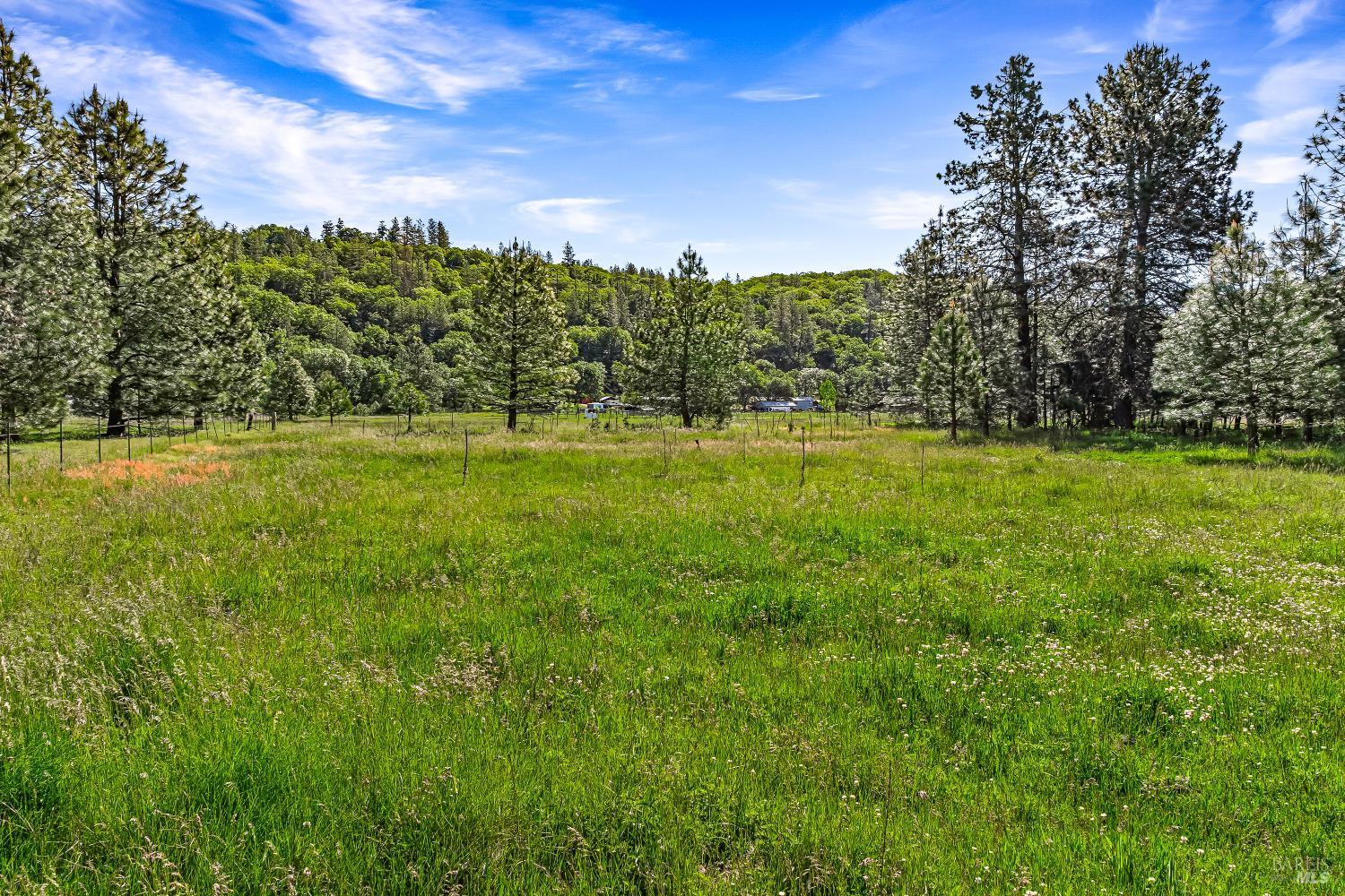 Detail Gallery Image 17 of 28 For 9505 Salmina Rd, Kelseyville,  CA 95451 - – Beds | – Baths