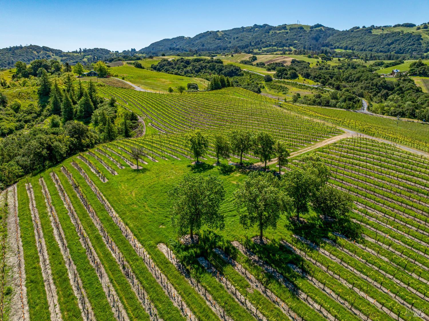 Detail Gallery Image 7 of 52 For 4560 Sonoma Mountain Rd, Santa Rosa,  CA 95404 - – Beds | – Baths