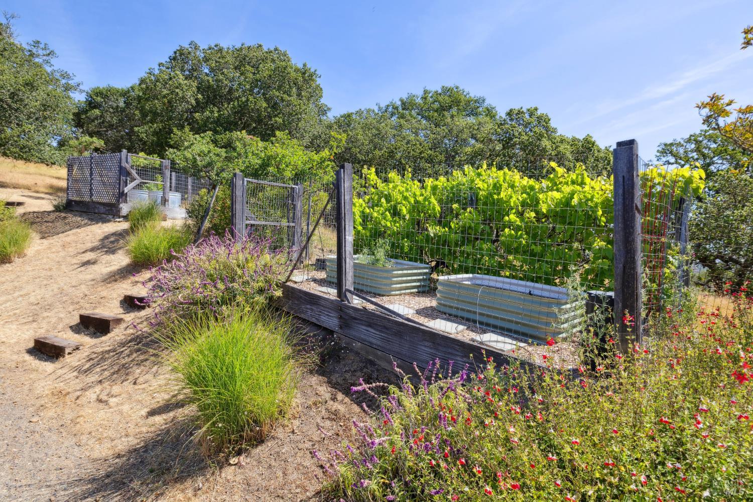Detail Gallery Image 32 of 37 For 15 Upland Ln, Novato,  CA 94945 - 4 Beds | 3/1 Baths