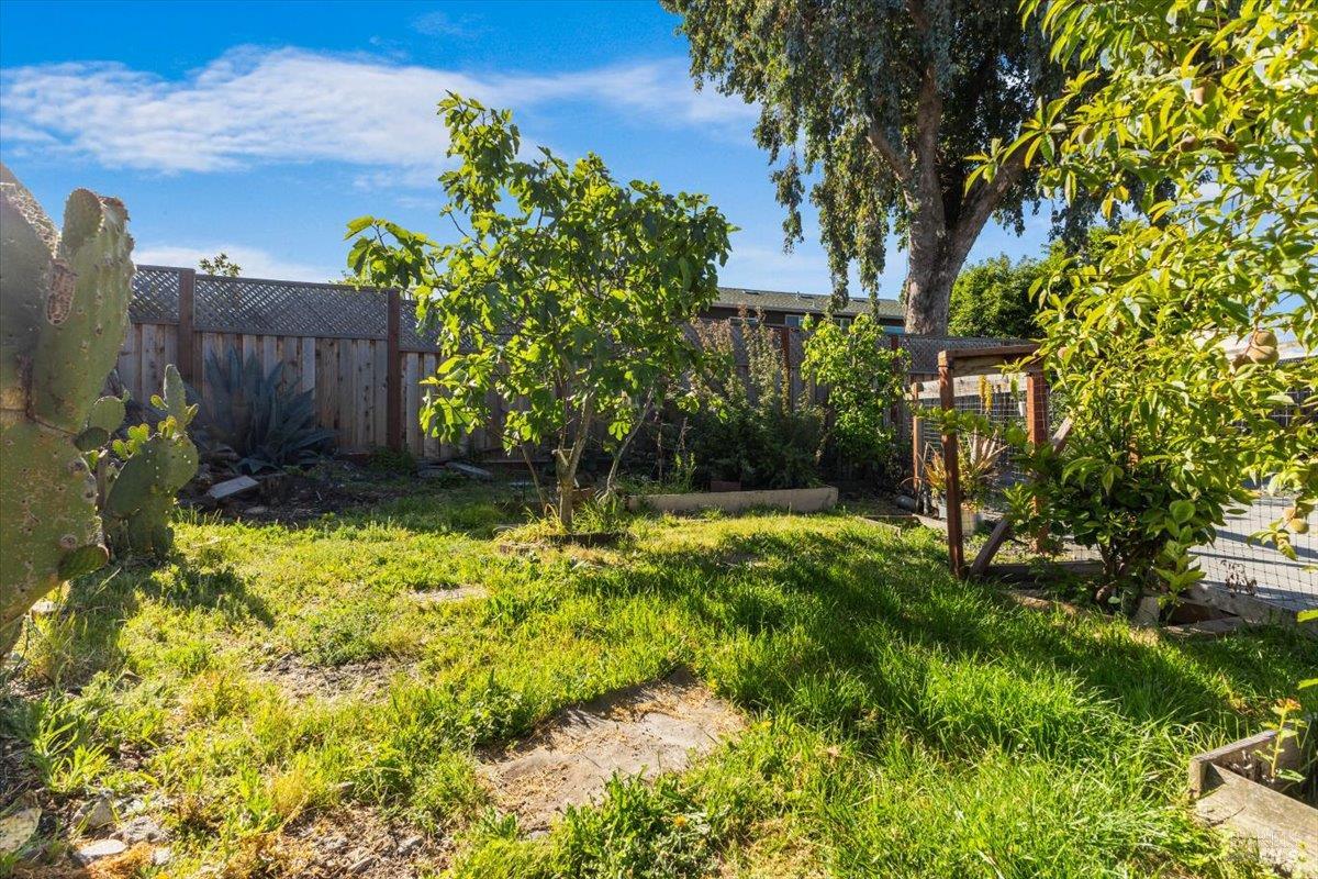 Detail Gallery Image 49 of 61 For 2044 Willow Dr, Petaluma,  CA 94954 - 4 Beds | 3 Baths