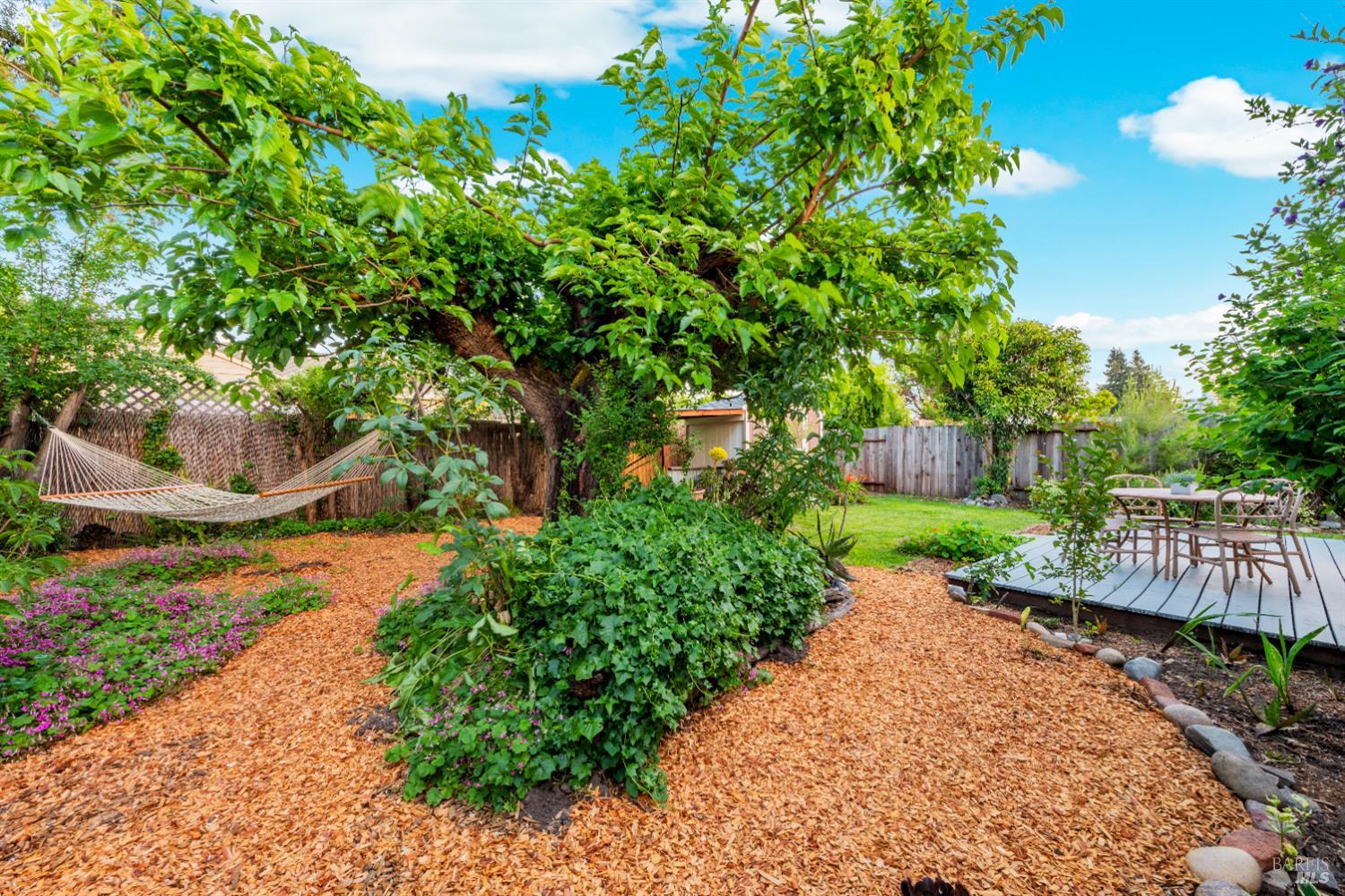 Detail Gallery Image 30 of 35 For 612 Madison St, Petaluma,  CA 94952 - 3 Beds | 2 Baths