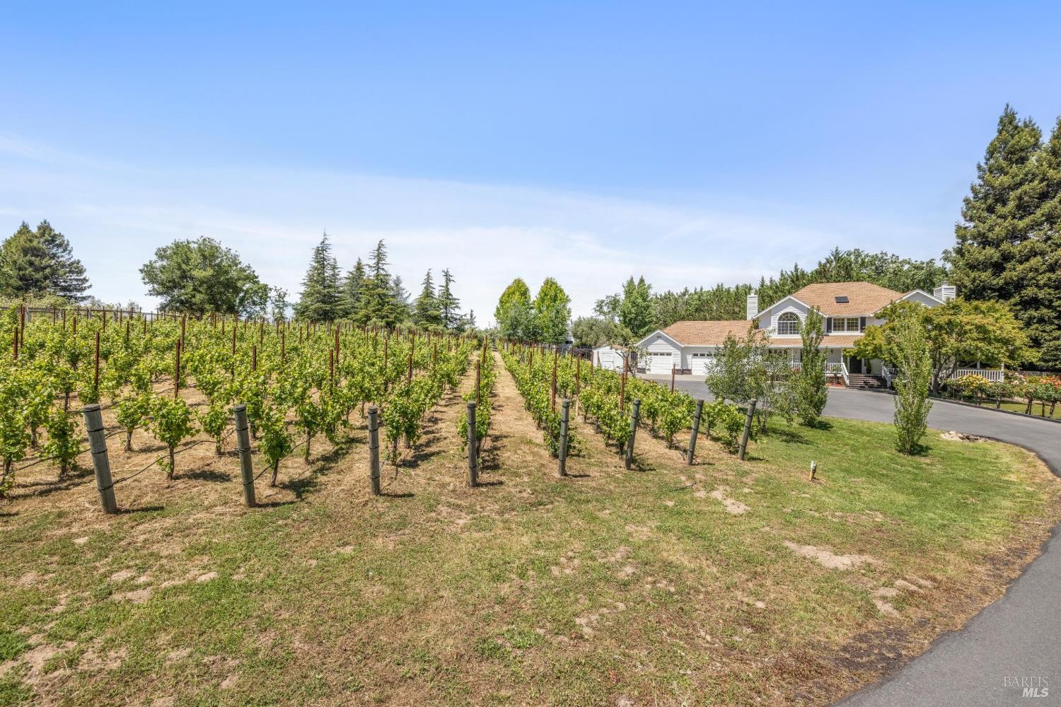 Detail Gallery Image 89 of 98 For 9724 Green Valley Rd, Sebastopol,  CA 95472 - 4 Beds | 3 Baths