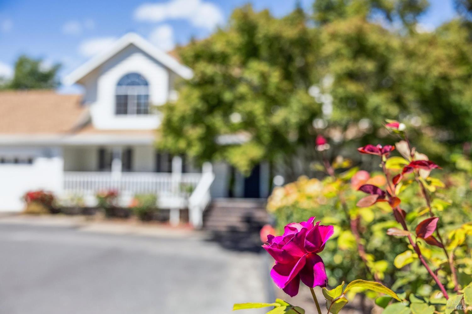 Detail Gallery Image 93 of 98 For 9724 Green Valley Rd, Sebastopol,  CA 95472 - 4 Beds | 3 Baths