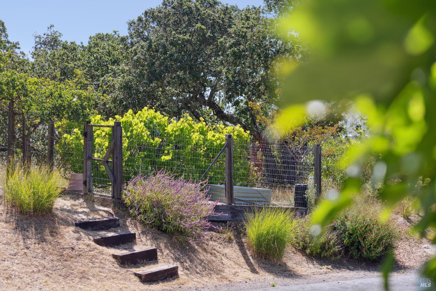 Detail Gallery Image 31 of 37 For 15 Upland Ln, Novato,  CA 94945 - 4 Beds | 3/1 Baths