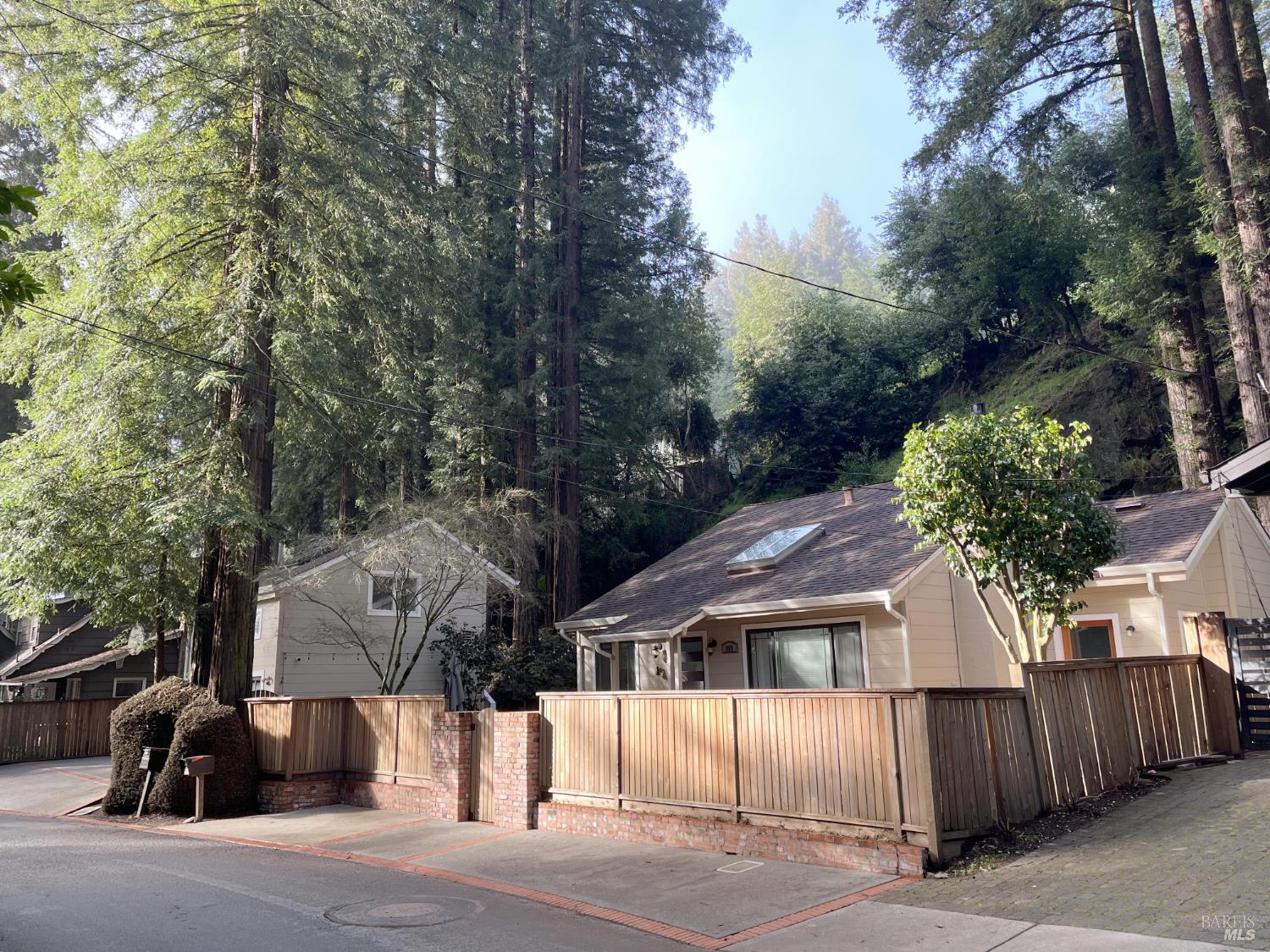 Detail Gallery Image 41 of 53 For 269 Corte Madera Ave, Mill Valley,  CA 94941 - 4 Beds | 3/1 Baths