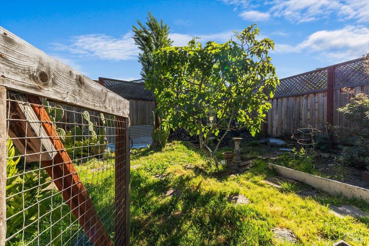 Detail Gallery Image 48 of 61 For 2044 Willow Dr, Petaluma,  CA 94954 - 4 Beds | 3 Baths