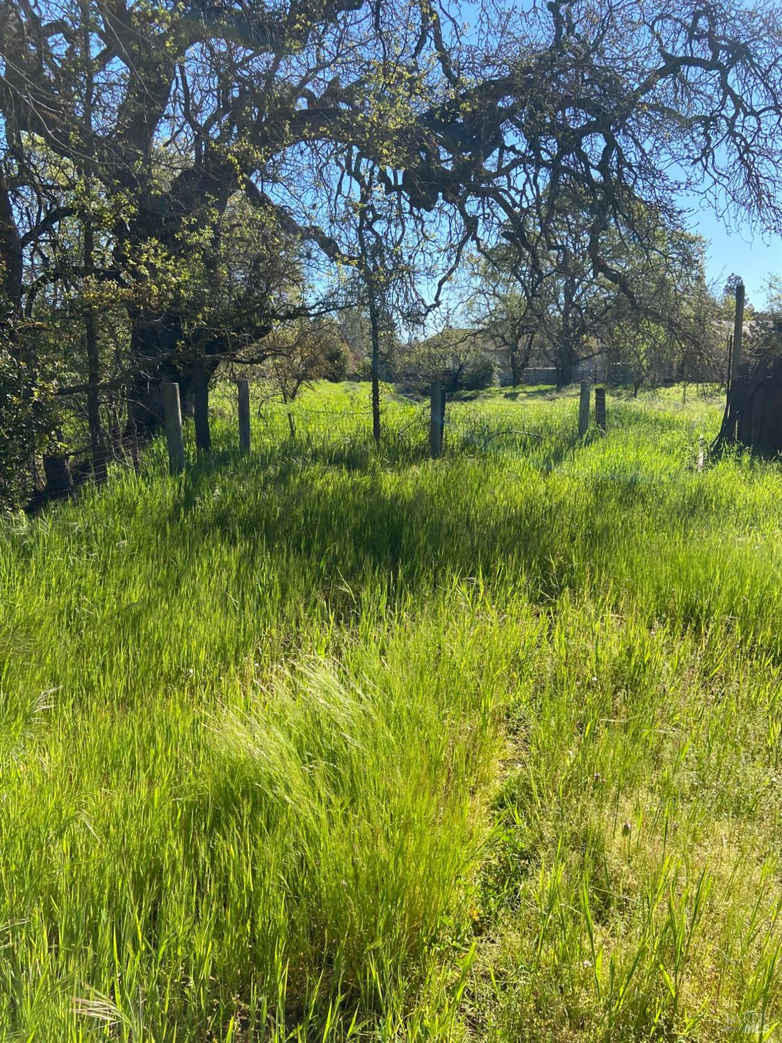 Detail Gallery Image 1 of 1 For 18915 Olive Ave, Sonoma,  CA 95476 - – Beds | – Baths