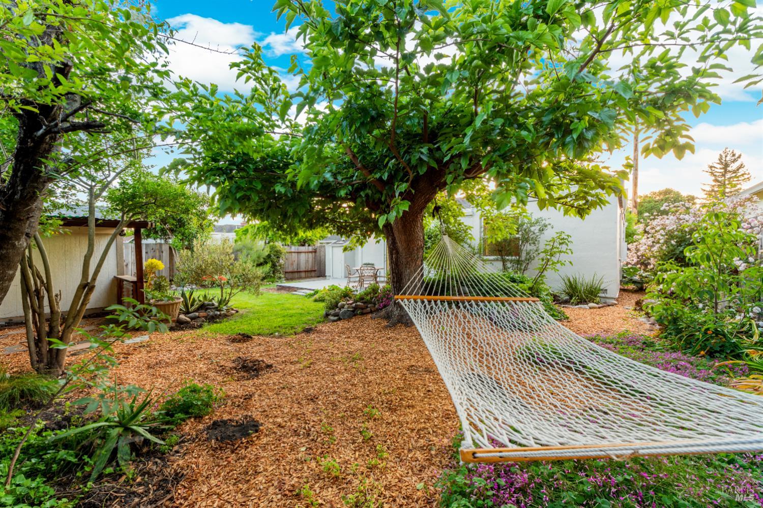Detail Gallery Image 31 of 35 For 612 Madison St, Petaluma,  CA 94952 - 3 Beds | 2 Baths