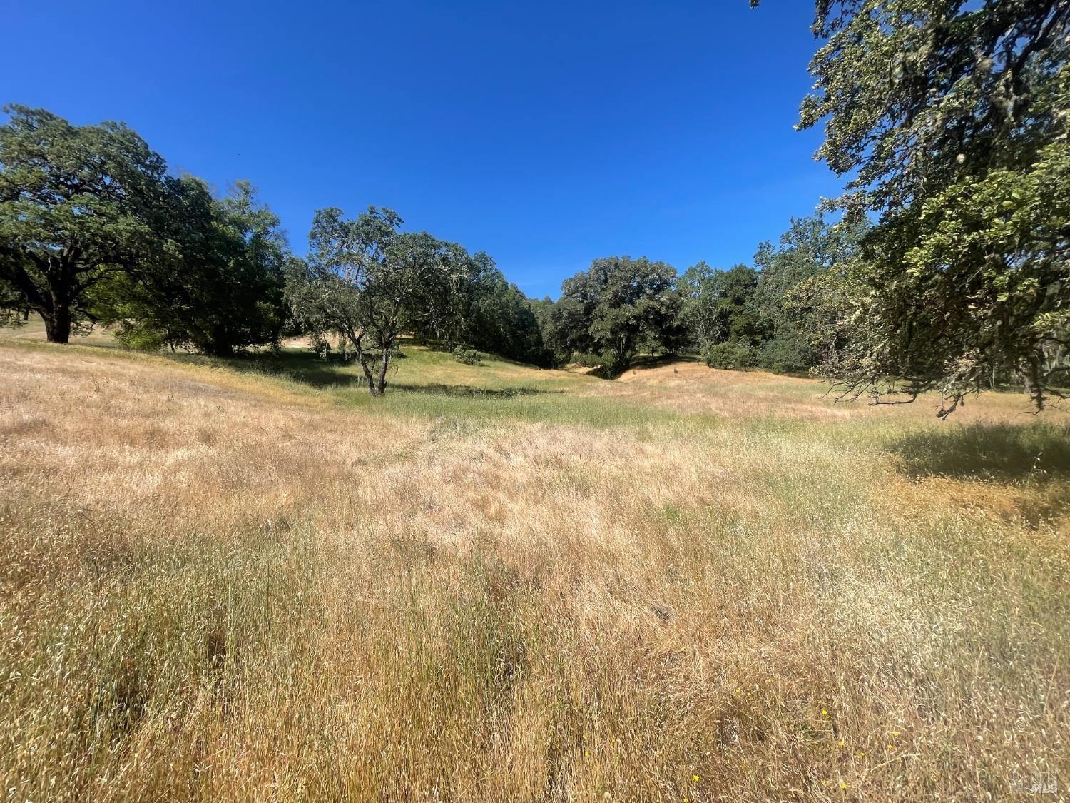 Detail Gallery Image 15 of 17 For 28365 Old Redwood Hwy, Cloverdale,  CA 95425 - – Beds | – Baths