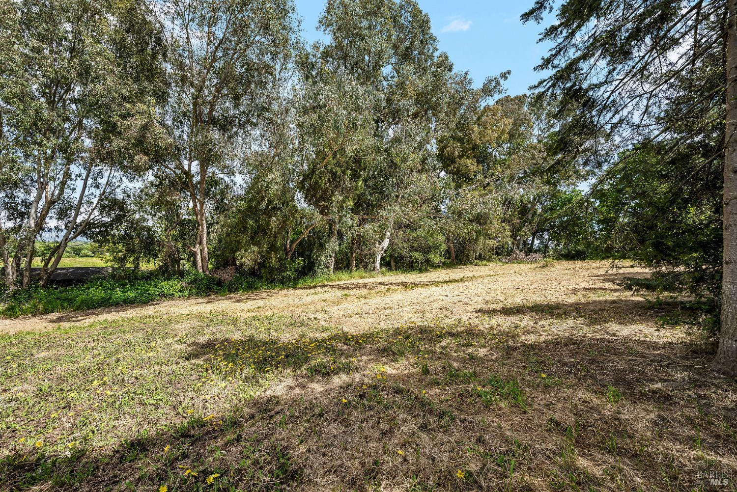 Detail Gallery Image 59 of 66 For 1466 Cooper Rd, Sebastopol,  CA 95472 - 6 Beds | 5/1 Baths