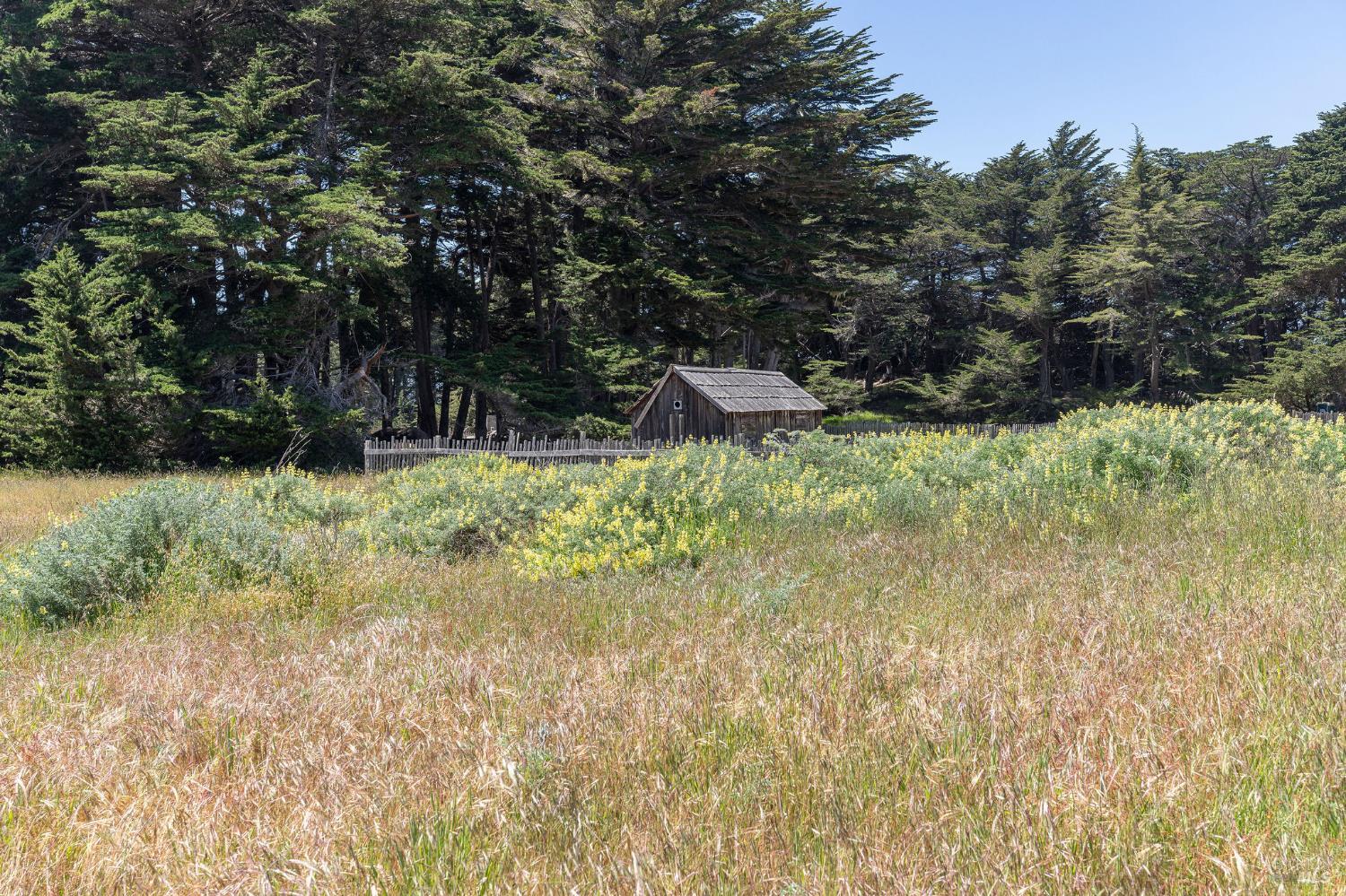 Detail Gallery Image 8 of 37 For 39463 Leeward Rd, The Sea Ranch,  CA 95497 - – Beds | – Baths