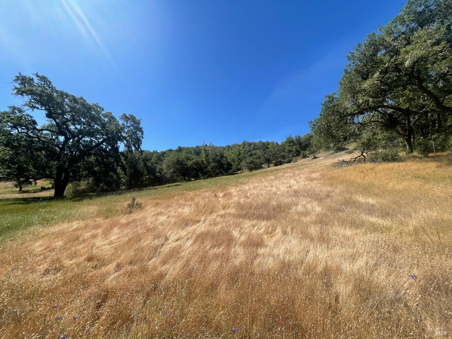 Detail Gallery Image 6 of 17 For 28365 Old Redwood Hwy, Cloverdale,  CA 95425 - – Beds | – Baths