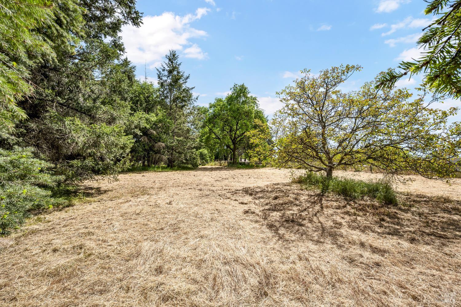 Detail Gallery Image 60 of 66 For 1466 Cooper Rd, Sebastopol,  CA 95472 - 6 Beds | 5/1 Baths