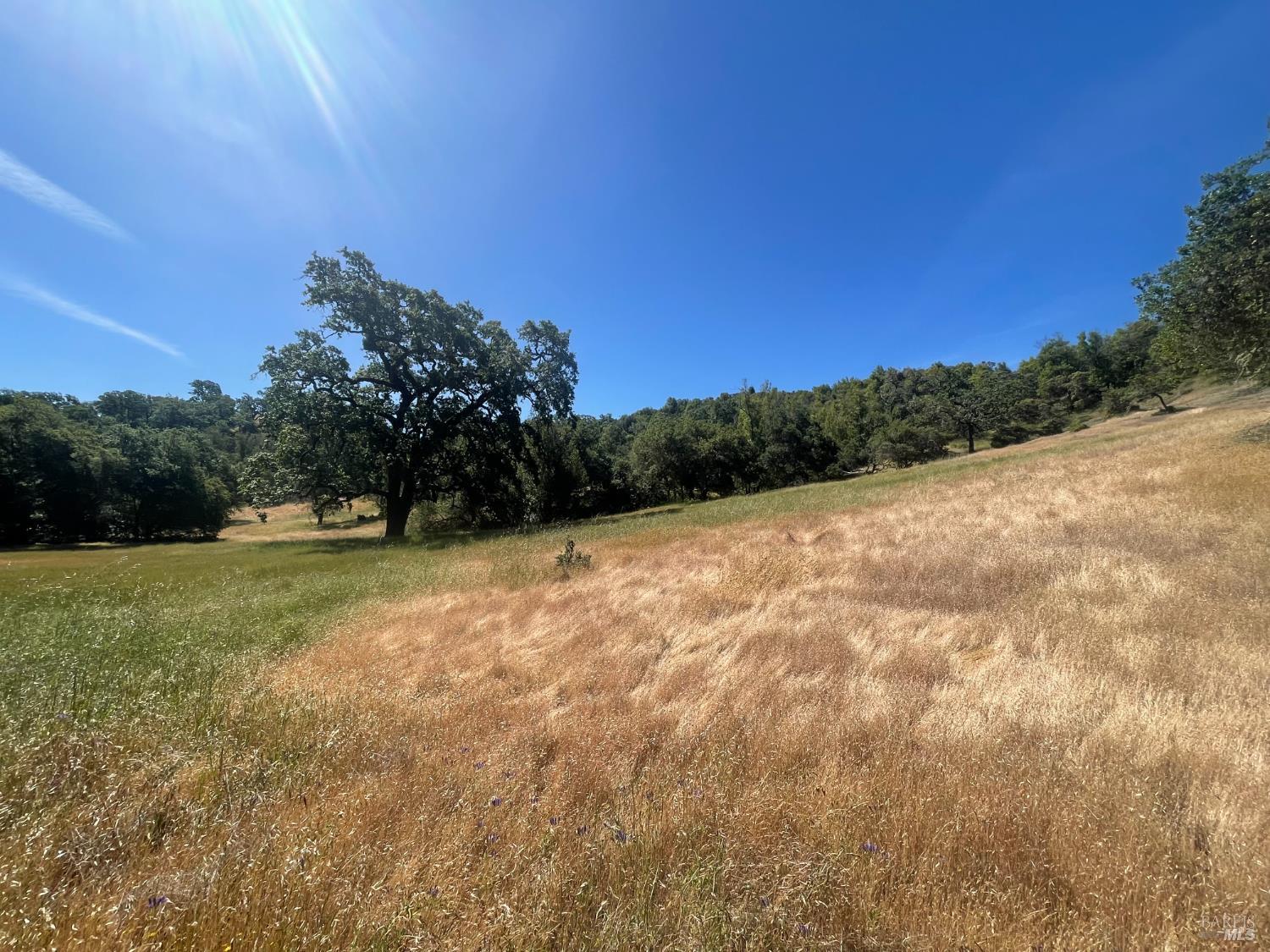 Detail Gallery Image 8 of 17 For 28365 Old Redwood Hwy, Cloverdale,  CA 95425 - – Beds | – Baths