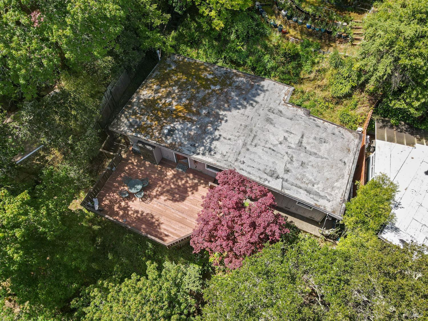 Detail Gallery Image 16 of 26 For 104 Murray Ave, Kentfield,  CA 94904 - 1 Beds | 1 Baths