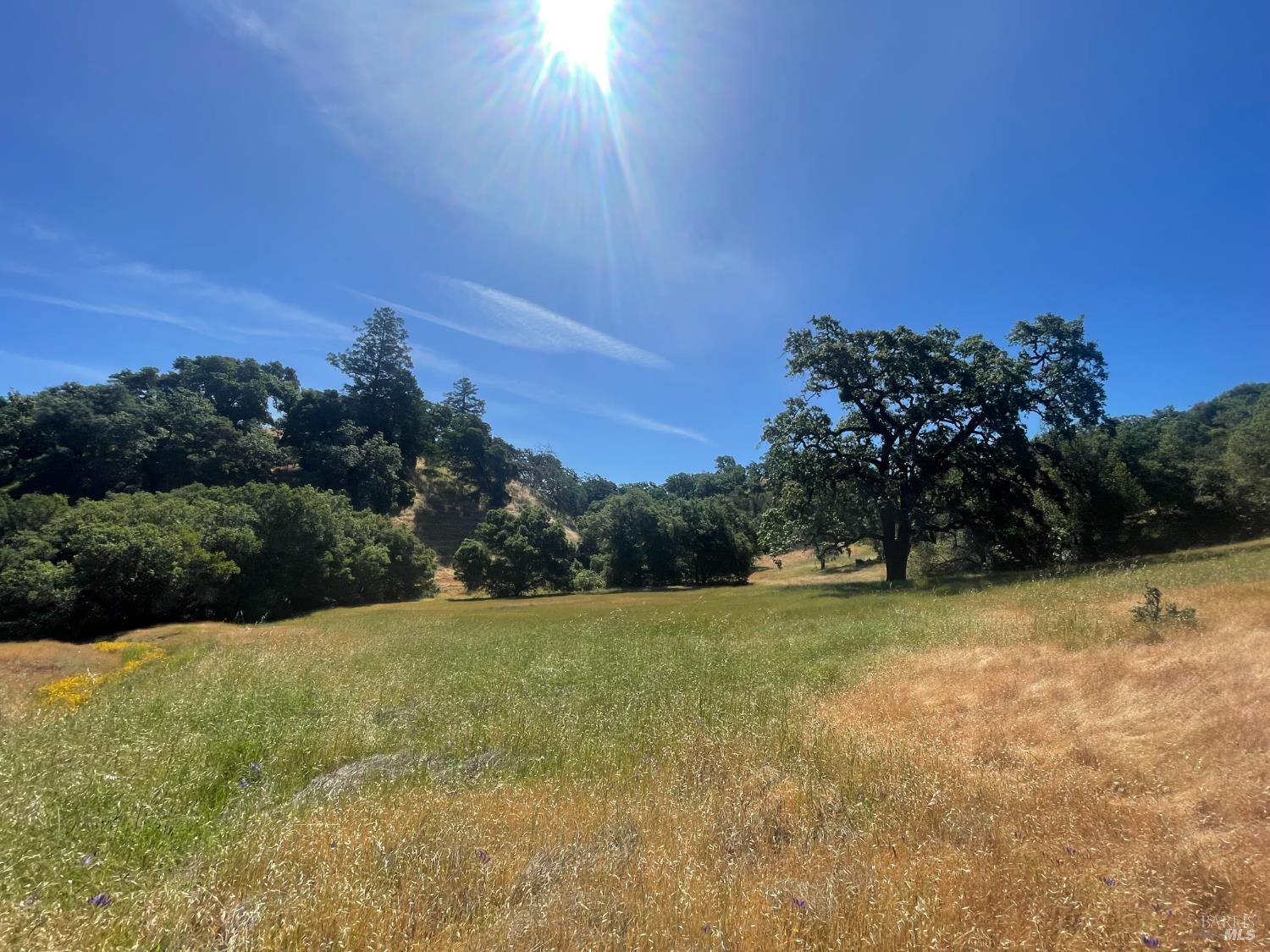 Detail Gallery Image 7 of 17 For 28365 Old Redwood Hwy, Cloverdale,  CA 95425 - – Beds | – Baths