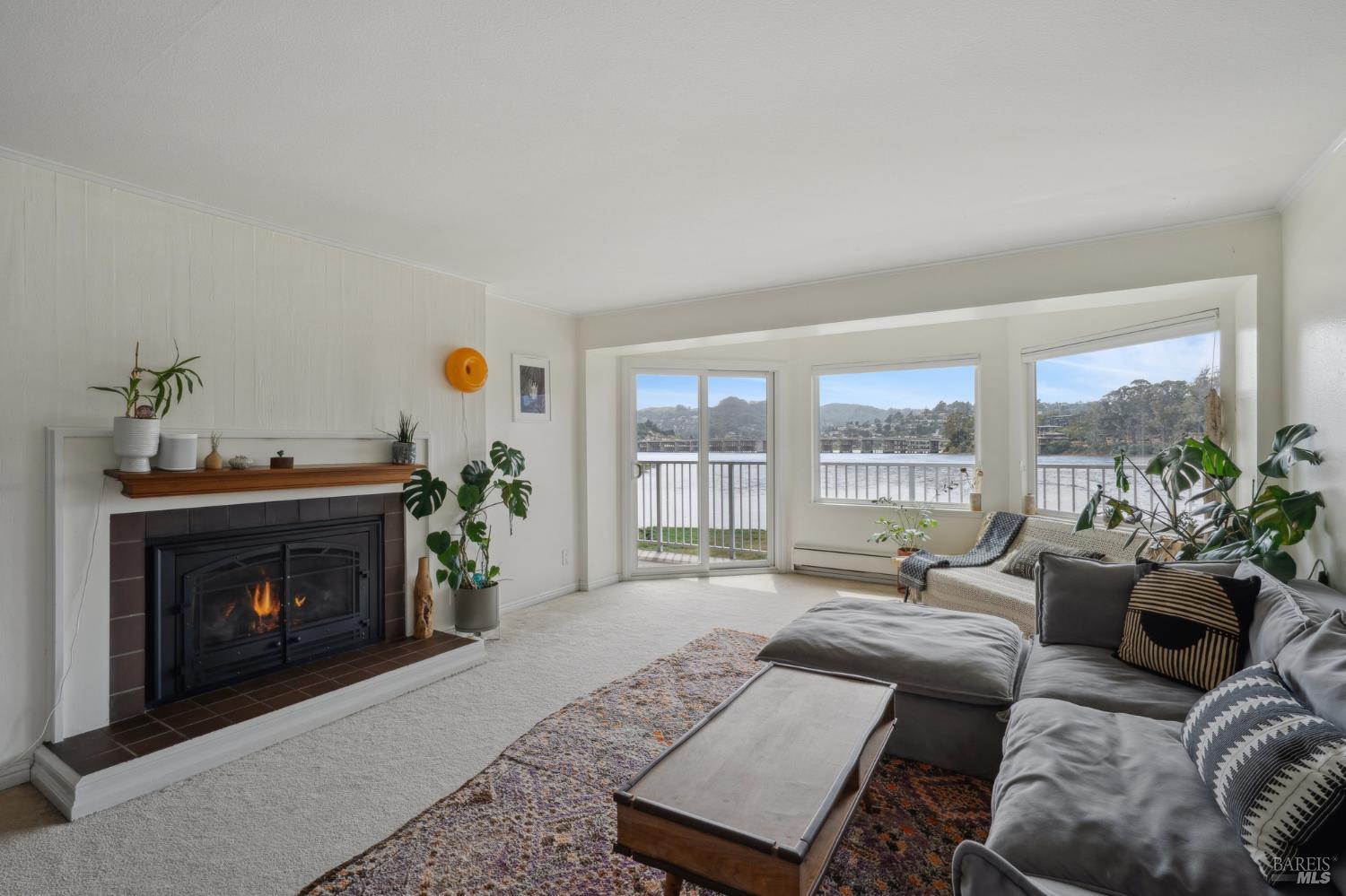 Detail Gallery Image 2 of 12 For 160 Seminary Dr 1e,  Mill Valley,  CA 94941 - 3 Beds | 2 Baths