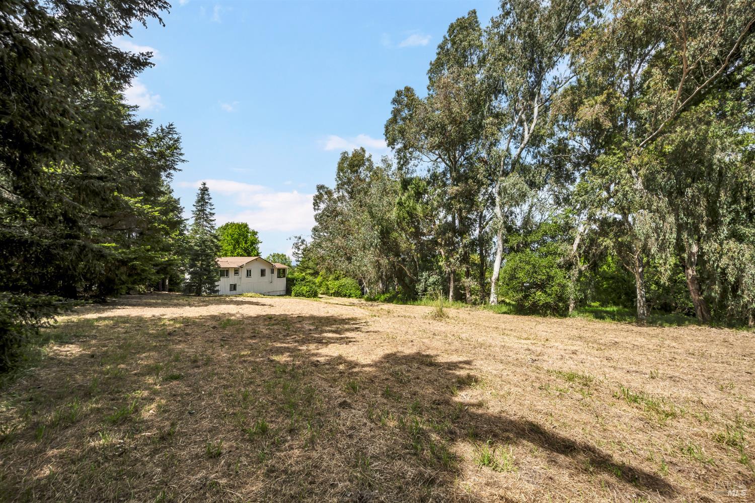 Detail Gallery Image 61 of 66 For 1466 Cooper Rd, Sebastopol,  CA 95472 - 6 Beds | 5/1 Baths