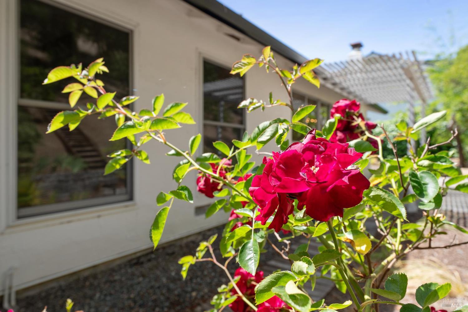 Detail Gallery Image 31 of 31 For 83 Twelveoak Hill Dr, San Rafael,  CA 94903 - 3 Beds | 2 Baths