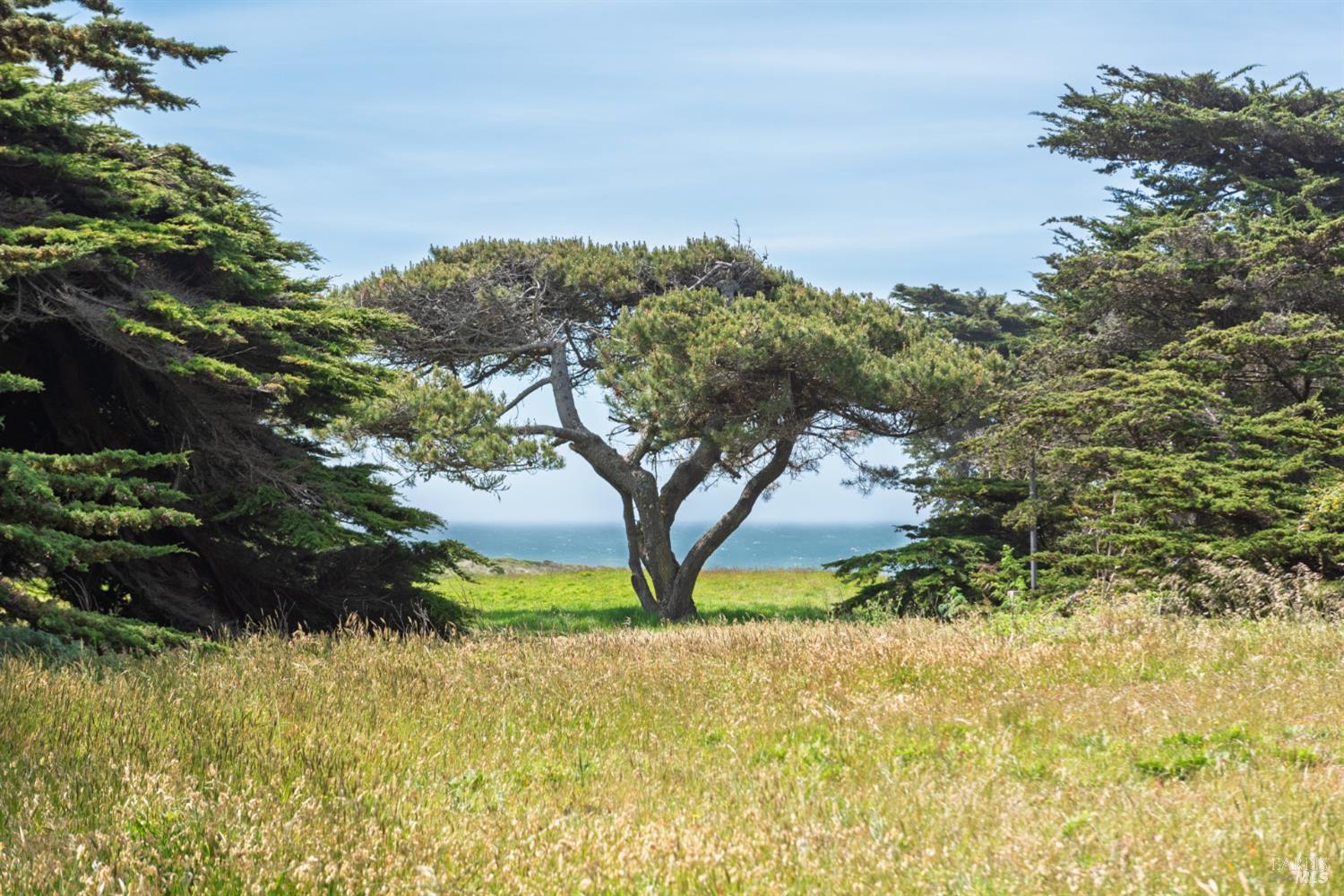 Detail Gallery Image 3 of 36 For 41923 Mizzen Mast Unkn, The Sea Ranch,  CA 95497 - 2 Beds | 2 Baths